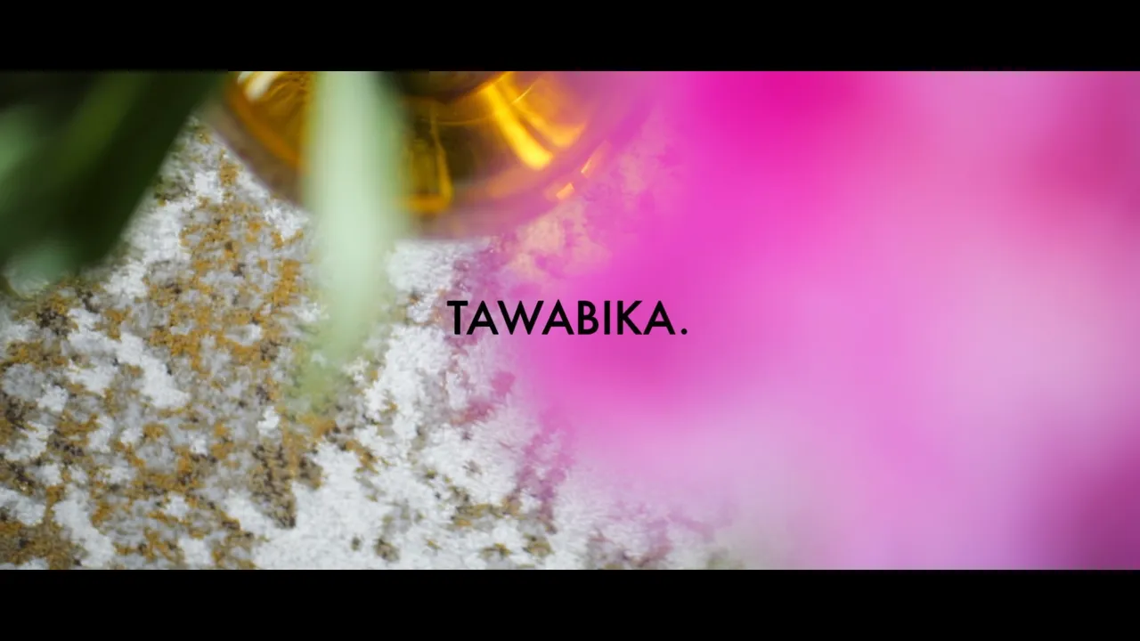 Tawabika